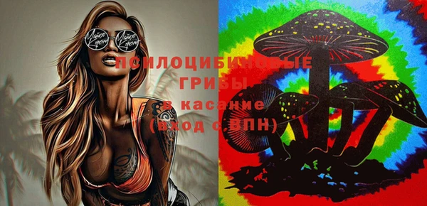 МДМА Вяземский